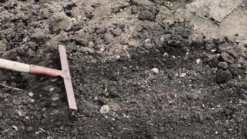 preparación del suelo en el jardín con un rastrillo. video