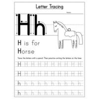 Animals Alphabet Letter Tracing Workbook vector