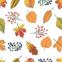 Pattern with autumn leaves.Autumn leaves are black and red Rowan.Autumn motif.It can be used for textile Wallpaper and packaging.Vector illustration. vector