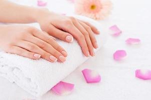 Beautiful female hands. Close-up of beautiful female hands on the towel with rose petals laying around photo