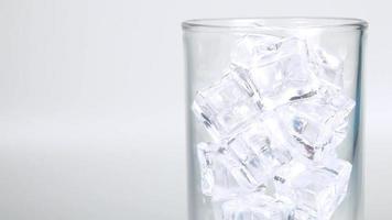 los refrescos se vierten sobre cubitos de hielo en un vaso transparente, formando espuma y dispersándose. video