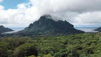 vista aérea do mirante belvedere em moorea, polinésia francesa video