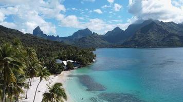 Luftaufnahme des Strandes von Taahiamanu in Moorea, Französisch-Polynesien video