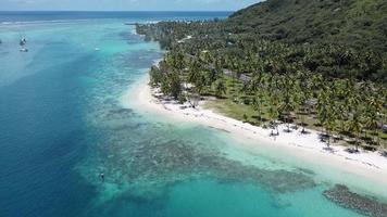 Aerial View of Moorea, French Polynesia video