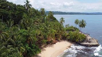 vista aérea del parque nacional manzanillo, costa rica video