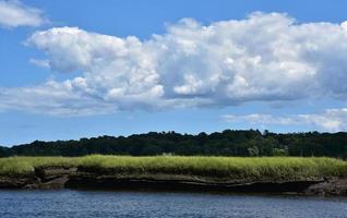 Beautiful Tidal Marsh and River on a Spring Day photo