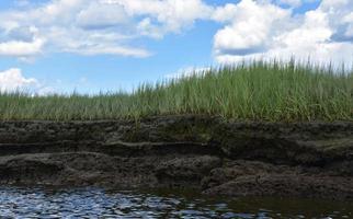 Fluffy White Clouds Over Marshland and Marsh Grass photo