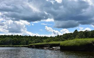 Thick Grey Clouds Over a Wetland Marshland photo