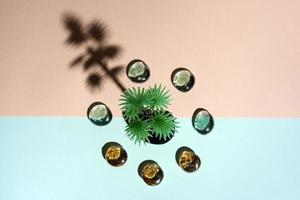 figure of a palm tree with a long shadow on a pink and turquoise background, minimalism, green wood and glass stones photo