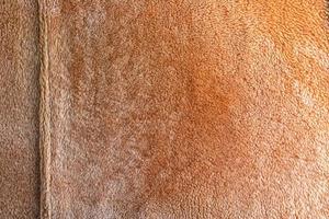 Background picture of a soft fur beige carpet. Wool sheep fleece closeup texture background. Top view. photo