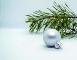 Christmas ball and Christmas tree branch. photo