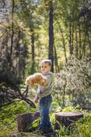 un chico lindo está jugando con un cachorro de oso en el bosque. los rayos del sol envuelven el espacio del claro con un tocón. una historia mágica de interacciones para el libro. espacio para copiar. selectivo foto