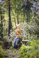 un chico lindo está jugando con un cachorro de oso en el bosque. los rayos del sol envuelven el espacio del claro con un tocón. una historia mágica de interacciones para el libro. espacio para copiar. selectivo foto