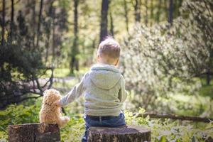 A cute boy is playing with a bear cub in the forest. The sun's rays envelop the space of the clearing with a stump. A magical story of interactions for the book. Space for copying. Selective photo