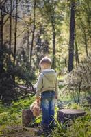 un chico lindo está jugando con un cachorro de oso en el bosque. los rayos del sol envuelven el espacio del claro con un tocón. una historia mágica de interacciones para el libro. espacio para copiar. selectivo foto