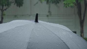 Regen auf grauem Regenschirm. silberner regenschirm im regen am abend bangkok. video