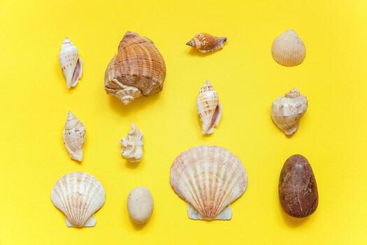 fondo tropical. concha marina sobre fondo de moda moderna de moda colorido amarillo. vacaciones viajes verano fin de semana mar aventura viaje concepto. foto