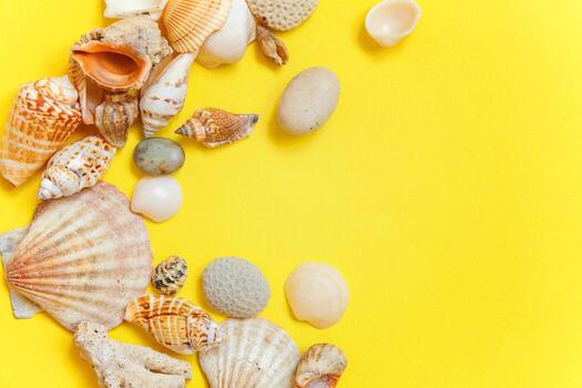 fondo tropical. concha marina sobre fondo de moda moderna de moda colorido amarillo. vacaciones viajes verano fin de semana mar aventura viaje concepto. foto