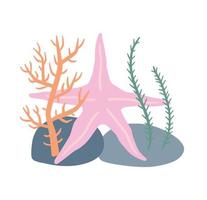 Starfish on seabed with rocks and algae. vector