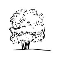 Hand drawn oak tree silhouette sketch vector