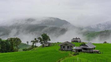 laps de temps d'une petite hutte dans un village de la vallée de la terrasse de riz verte dans une zone rurale du nord de la thaïlande avec un écoulement de brume et il pleut le matin video