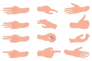 Hands in different positions.A set of hand-drawn brushes intended as design elements.flat vector illustration.