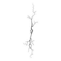 Crack on concrete or ground due to aging or drought. Fissure isolated in white background. Vector illustration