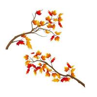 Realistic autumn tree branch set vector illustration