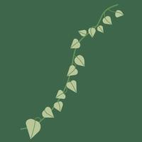 Simplicity ivy drawing flat design. vector