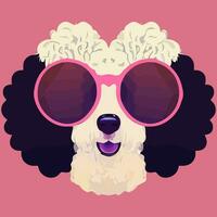 illustration Vector graphic of poodle dog wearing sunglasses isolated good for icon, mascot, print, design element or customize your design