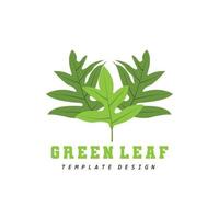 logotipo de hoja diseño de planta verde hojas de árboles ilustración de plantilla de marca de producto vector