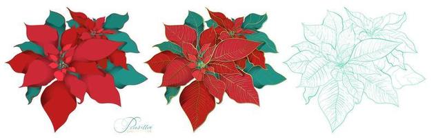 Poinsettia trees in an elegant decorative style vector