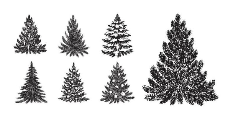 Christmas tree hand drawn illustration