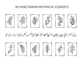 Set of hand drawn black and white leaves and twigs, fantasy branches. Collection of isolated eco natural tags, labels, fantasy design elements vector