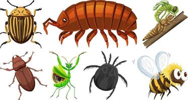 Set of different kinds of insects vector