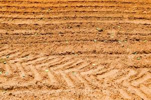 The texture of the brown earth of the sand road with traces of the tire treads of the tractor's car tires. The background photo