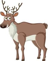 Cartoon reindeer on white background vector