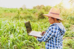 Beautiful farmer girl with laptop standing in a corn field. photo