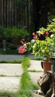 The beautiful garden view with the flowers and stone tables in the countryside village of the China photo