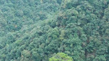 The beautiful mountains landscapes with the green forest and the erupted rock cliff as background in the countryside of the China photo