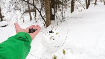 en man matar en fågel i en vinter- snöig skog. fågel plockar mat från mänsklig händer video