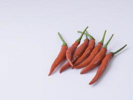 Several fresh red chili peppers on a white background photo