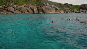 ilhas similan, tailândia 24 de novembro de 2016 - mergulho perto da ilha de ko miang, ilhas similan, tailândia video