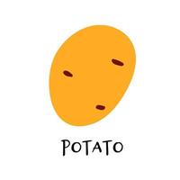 Vector illustration of potato in hand drawn flat style.