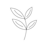 Hand drawn twig with leaves in line art doodle style. Botanical decorative element. vector