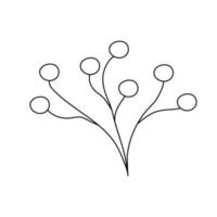 Hand drawn twig with berries in line art doodle style. Botanical decorative element. vector