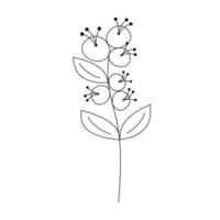 Hand drawn flower with berries in line art doodle style. Botanical decorative element. vector