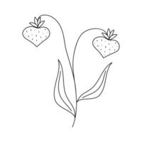 Hand drawn twig with strawberries in line art doodle style. Botanical decorative element. vector