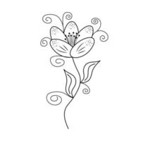 Hand drawn flower in line art doodle style. Botanical decorative element. vector