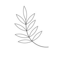 Hand drawn twig in line art doodle style. Botanical decorative element. vector